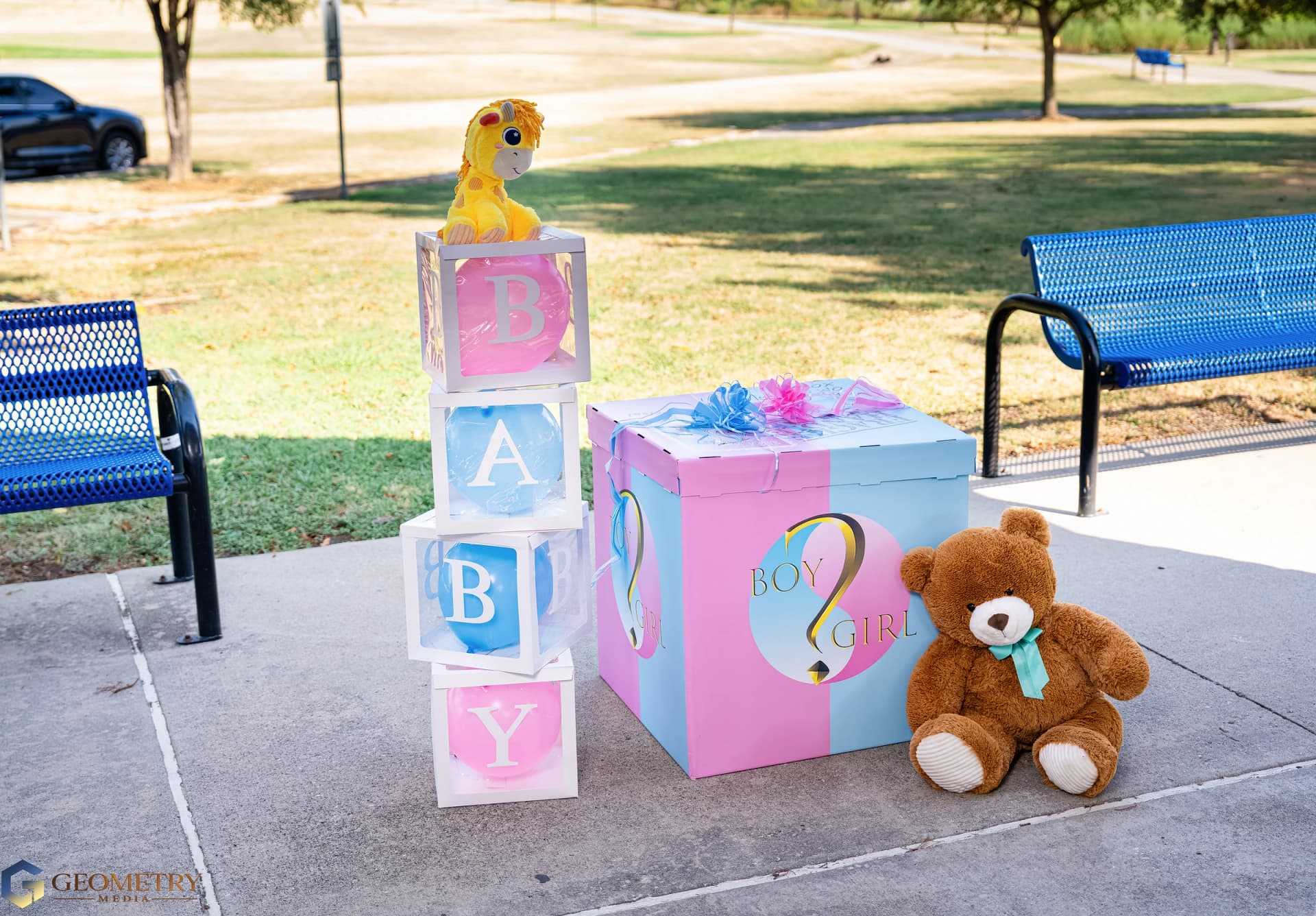 Pink-and-blue reveal box, baby blocks and teddy bear beneath the trees