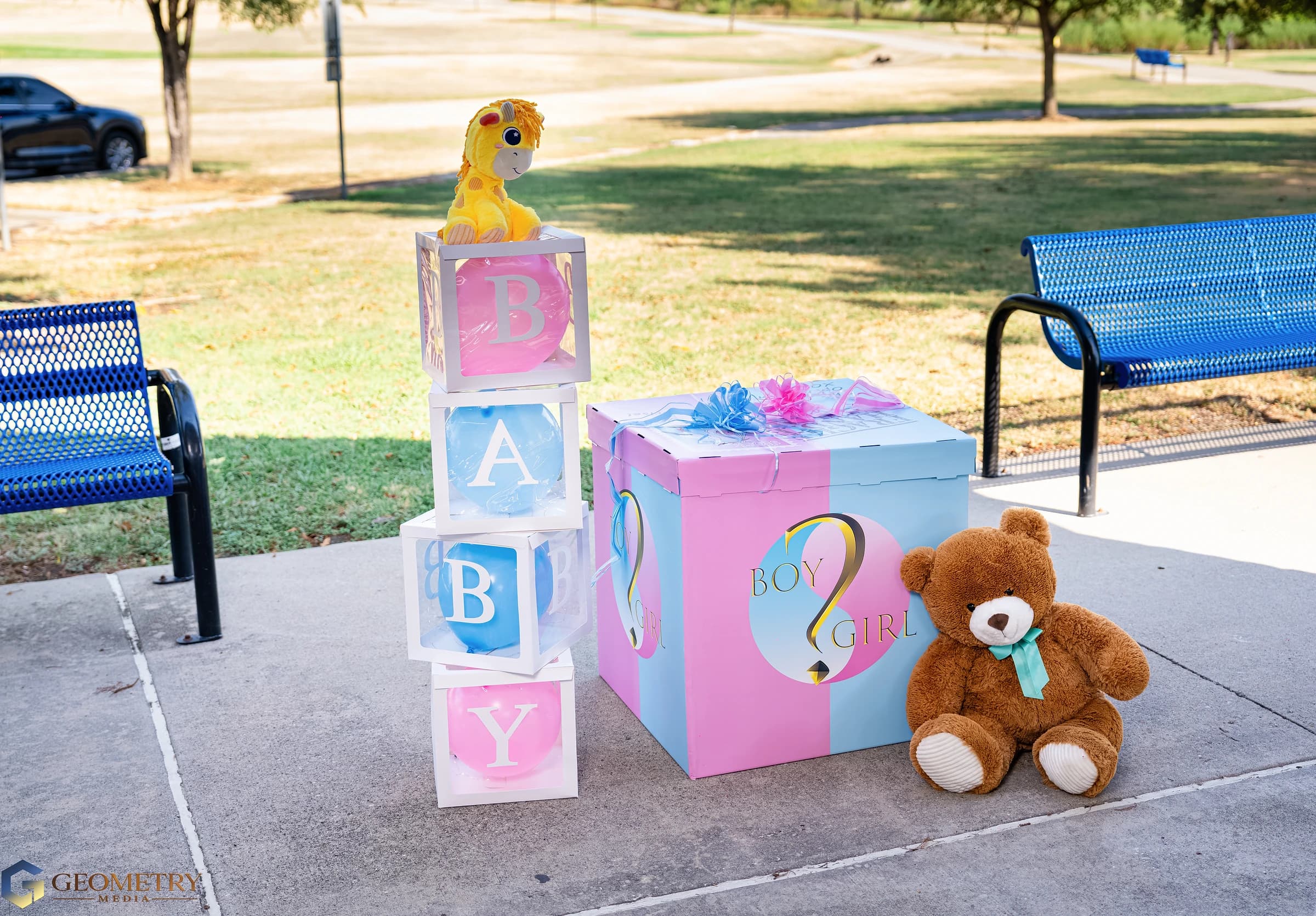 Pink-and-blue reveal box, baby blocks and teddy bear beneath the trees